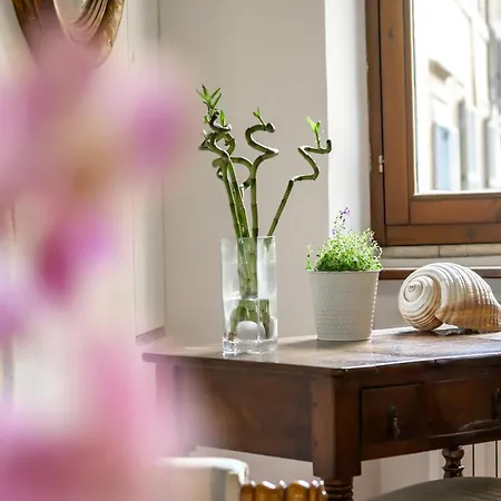 Pantheon Boutique Lägenhet Rom